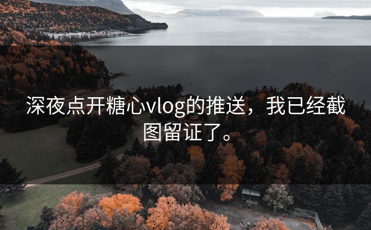 深夜点开糖心vlog的推送，我已经截图留证了。